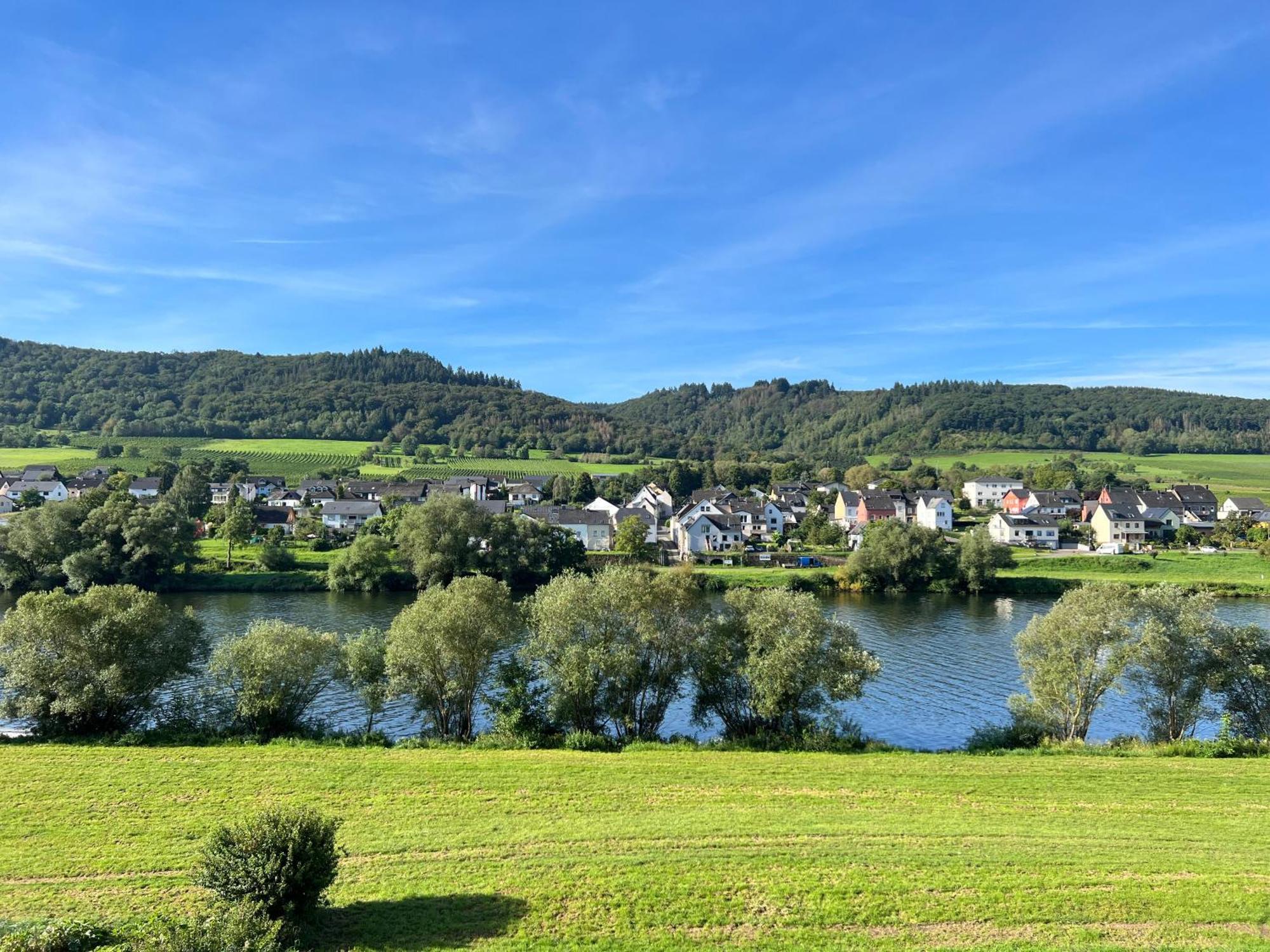 Zohe Alpha Apartment Mit Moselblick Kinheim Eksteriør billede